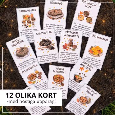 Skogens höstkök – 12 uppdrag för uteköket