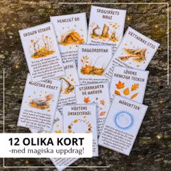 Månsken & skogsmagi – 12 magiska höstuppdrag