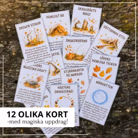 Månsken & skogsmagi – 12 magiska höstuppdrag