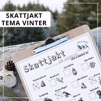 Skattjakt i naturen - tema vinter
