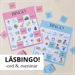 Läsbingo – ord och meningar