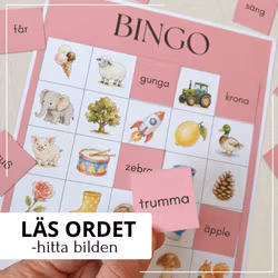 Läsbingo – ord och meningar