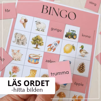 Läsbingo – ord och meningar