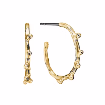 By Biride Ears Urban Harlem Buds Creol Ø20 Golden