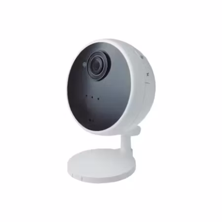 Smart IP kamera