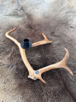 Renhornsljusstake.