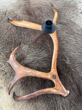 Renhornsljusstake