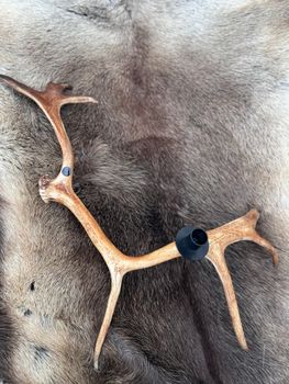 Renhornsljusstake.