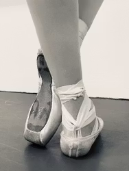 Adult  Pointe