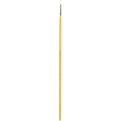 Maestro filbert