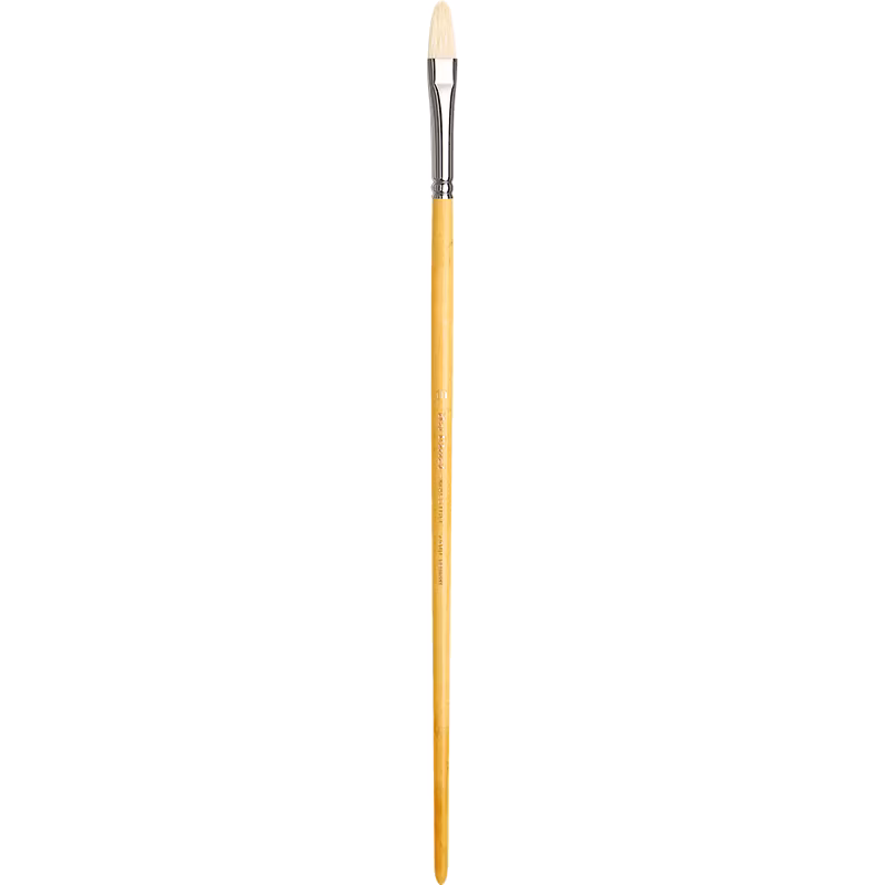 Maestro filbert