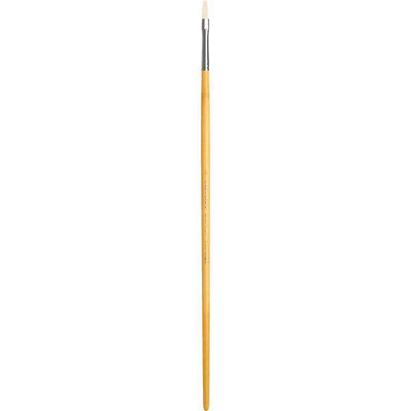 Maestro filbert