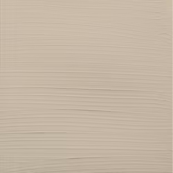 Amsterdam Expert 75ml – 290 Titanium Buff Deep