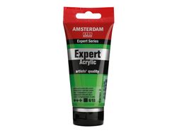 Amsterdam Expert 75ml – 618 Permanent Green Light