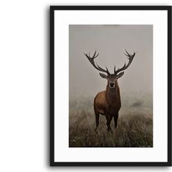 "Hjort" Giclee