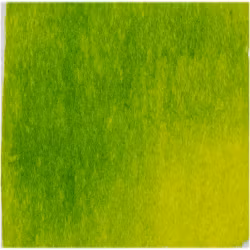 Akvarellmaling - W116 Bright Green Lake - 15ml