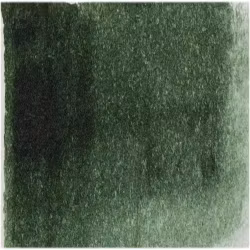 Akvarellmaling - W147 Sap Green - 15ml