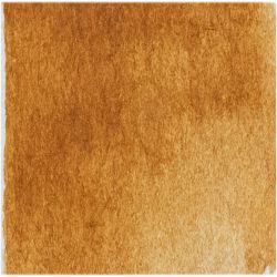 Akvarellmaling - W161 Ochre Havana of France - 15ml