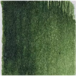 Akvarellmaling - W163 Hookers Green - 15ml