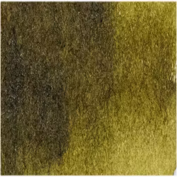 Akvarellmaling - W165 Moss Green - 15ml