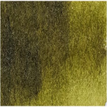 Akvarellmaling - W165 Moss Green - 15ml