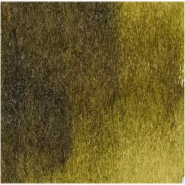 Akvarellmaling - W165 Moss Green - 15ml