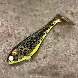 Snackbite Motoroil Kiwi Burbot 21cm