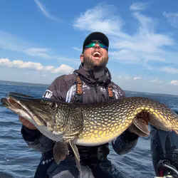 Snackbite UV Roach 16cm