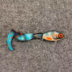 Ulm Tail Striped Cisco 22cm