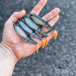 GigabiteV2 Hot Smelt 10cm - 4pcs