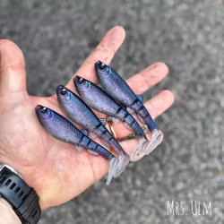 GigabiteV2 Mrs Ulm 10cm - 4pcs