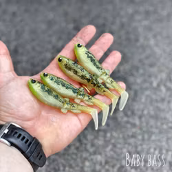 GigabiteV2 Baby Bass 10cm - 4pcs