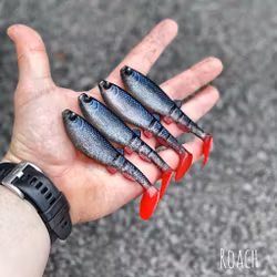 GigabiteV2 Roach 10cm - 4pcs