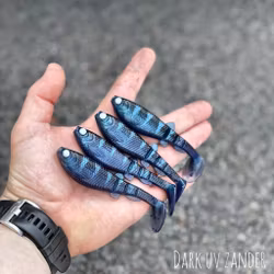 GigabiteV2 Dark UV Zander 10cm - 4pcs