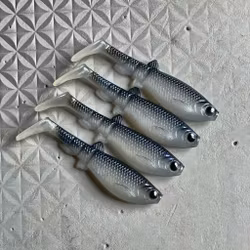 GigabiteV2 Silver Back 10cm - 4pcs