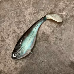 Snackbite Cisco 16cm