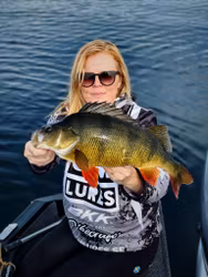 Gigashad Albino UV 10cm - 5pcs