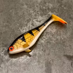 Snackbite Golden Perch 21cm