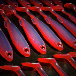 Gigashad Red Motoroil 20cm