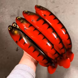 Gigashad Red Tiger 33cm