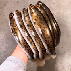 Gigashad Natural Burbot 33cm