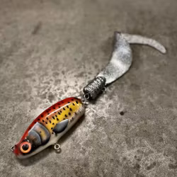 Slow Tail Tiger Trout 33cm