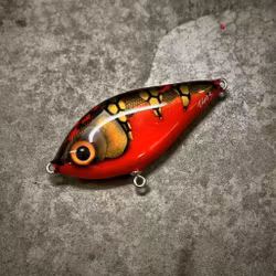 Piepie Red Tiger  13cm