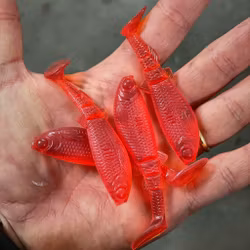 GigabiteV2 Red Motoroil 8cm - 4pcs