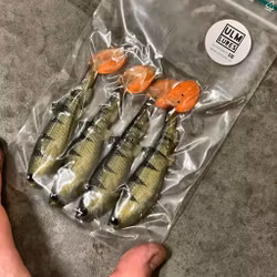 GigabiteV2 Baby Perch 8cm - 4pcs