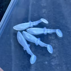 GigabiteV2 Albino UV 8cm - 4pcs