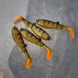 GigabiteV2 Hot Motoroil  Perch 10cm - 4pcs