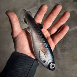 GigabiteV2 Sill Royale 21cm