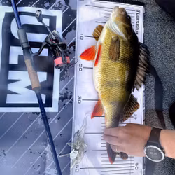 MCB Perch Bladed Jig Albino Flash 10g