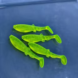 GigabiteV2 Chartips 10cm - 4pcs